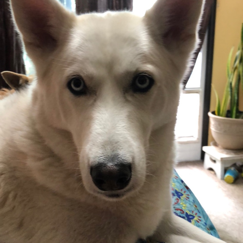 Meet your Posher, Sara